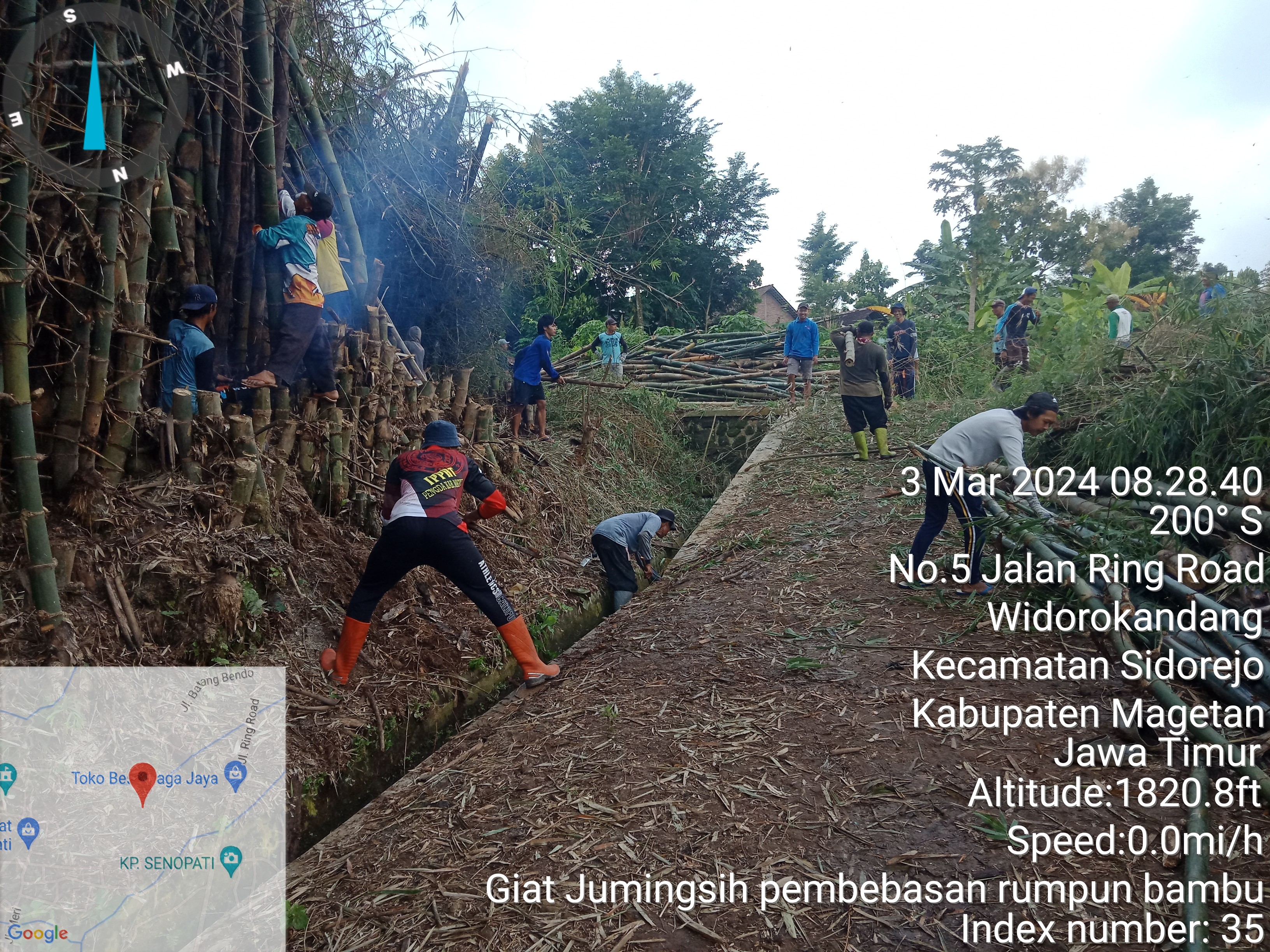 PEMBEBASAN RUMPUN BAMBU AKTIFIER LAHAN DAN  PEKARANGAN